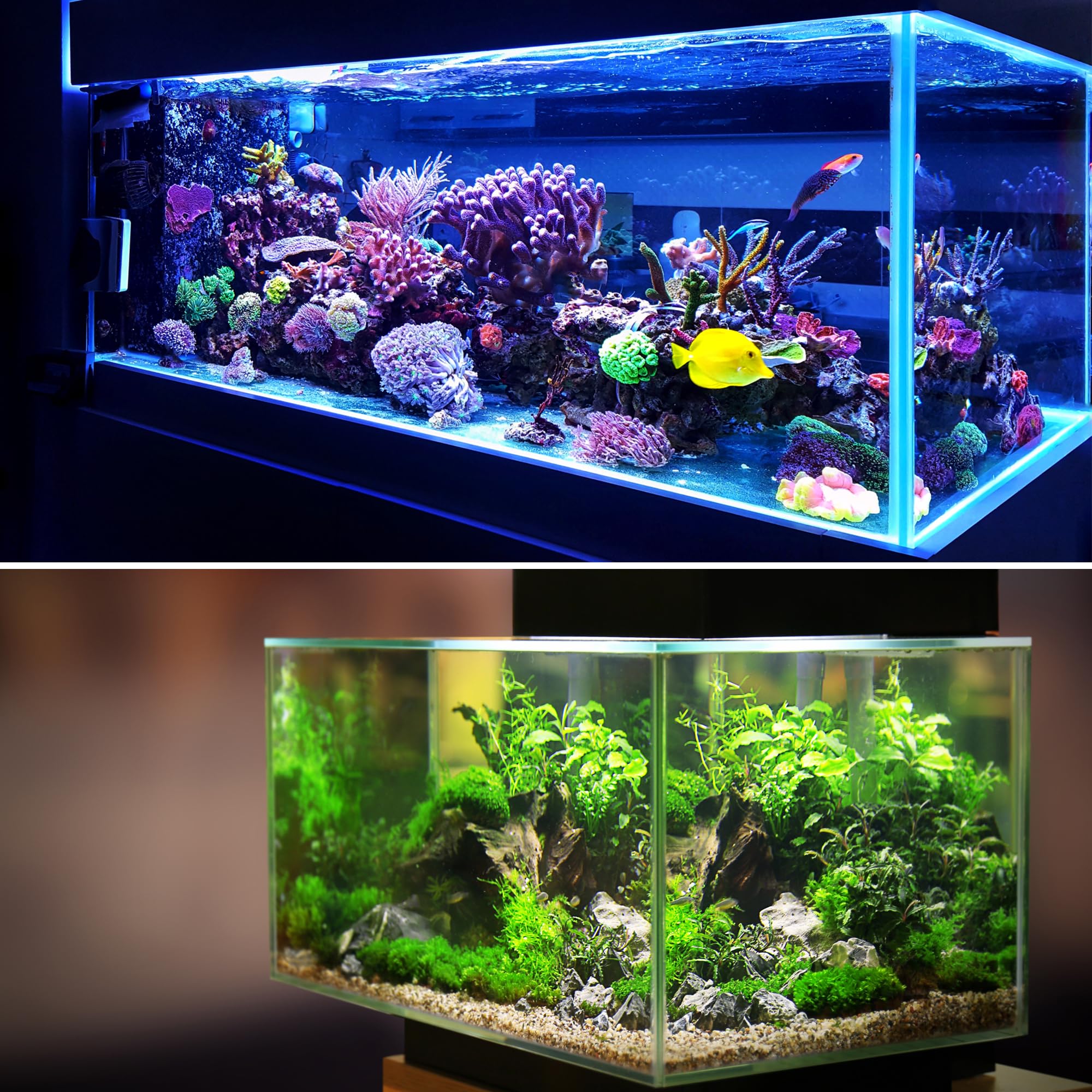 VOCOSTE 1pcs Fish Tank Aquarium Decorations Plants, Red 10.24" - Image 2