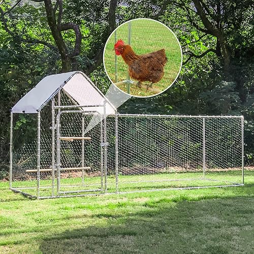 OverEZ Chicken Coops Founders Your Guide to Their Poultry Passion