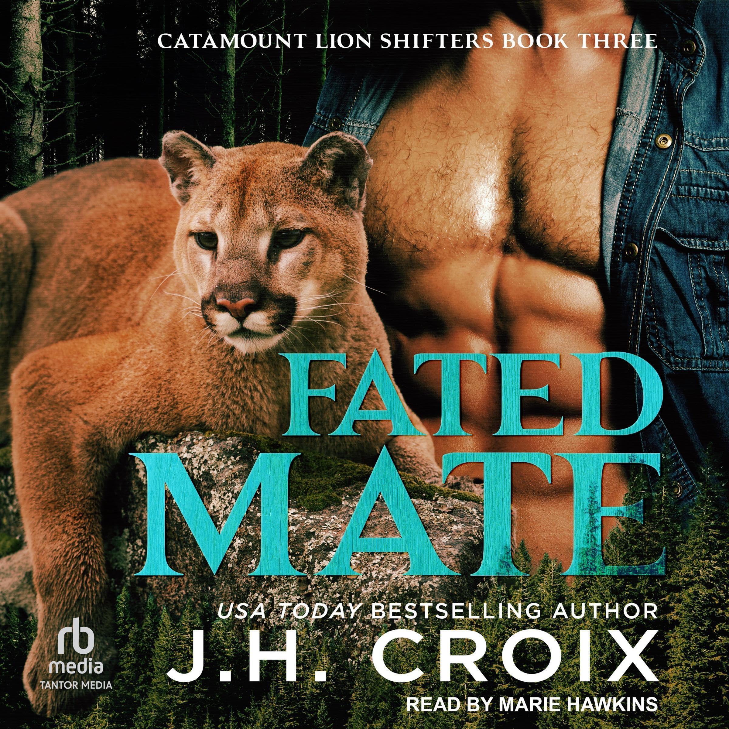 Cover art for Fated Mate
