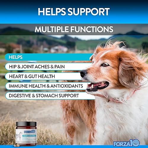 Miniatura 2 de Forza10 Suplementos de vitaminas para perros, multivitamínicos masticables para perros, vitaminas para mascotas para perros, suplemento para perros
