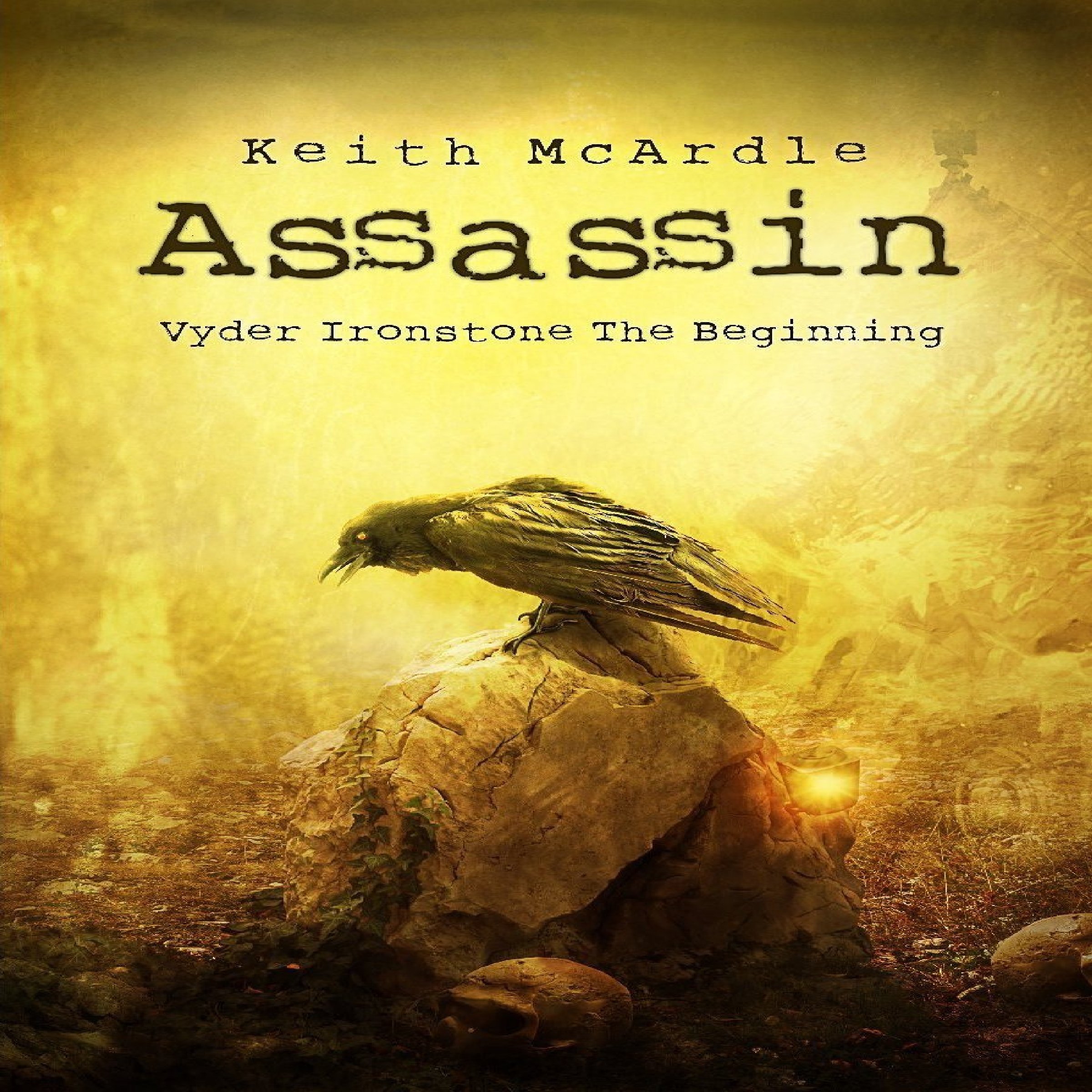 Cover art for Assassin
