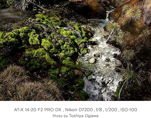 Miniatura 8 de Tokina ATXAF140DXC 0.551-0.787 in f/2 Pro DX Lente para Canon EF Negro