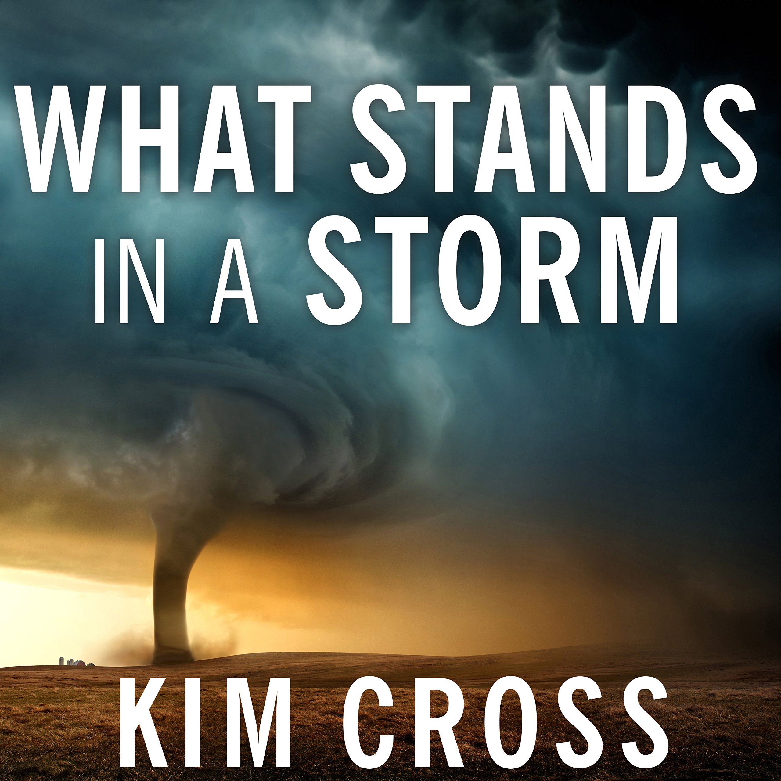 Cover art for What Stands in a Storm