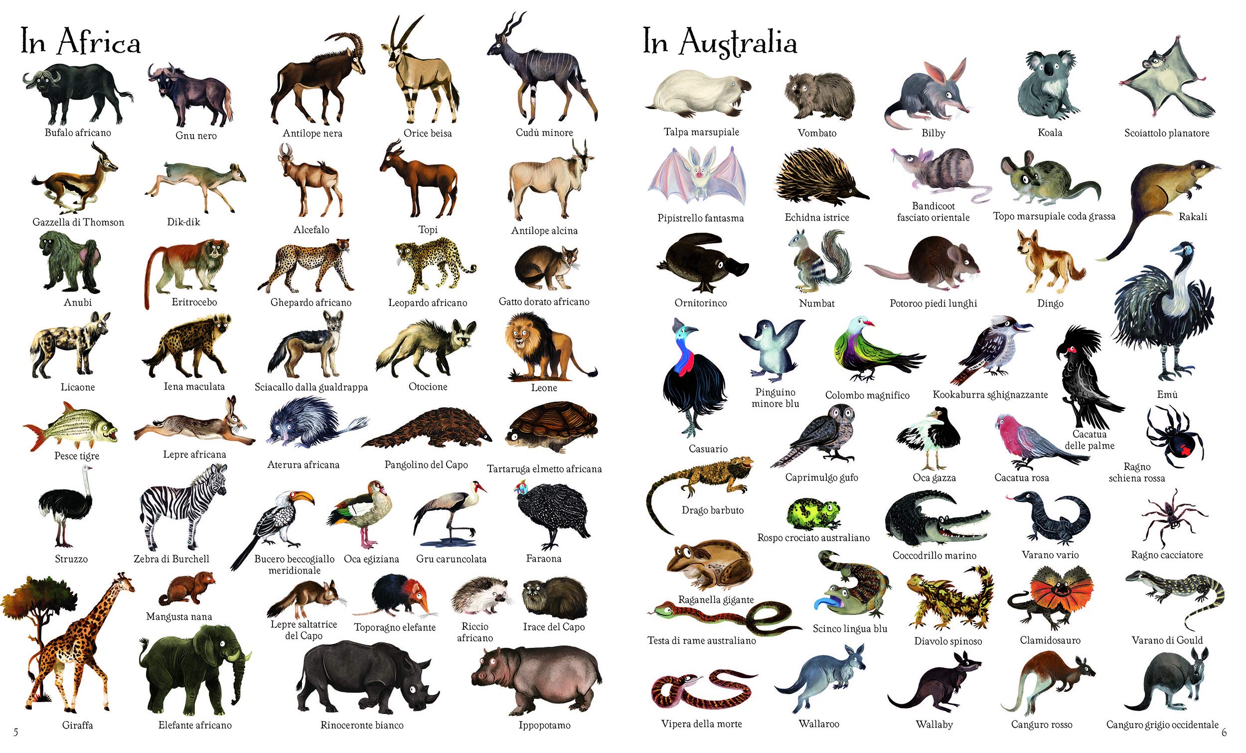 1000 animali. Ediz. a colori