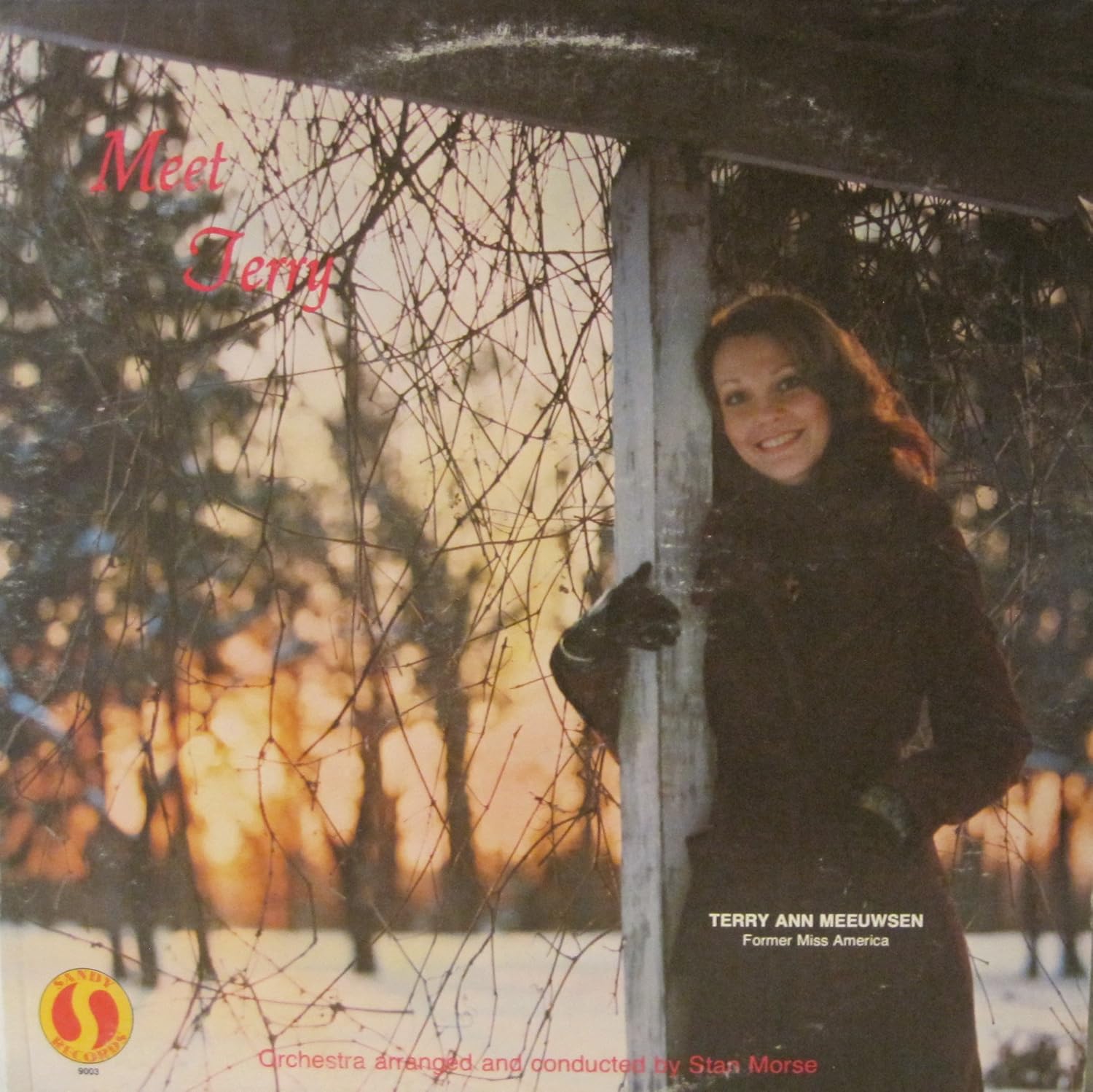 Meet Terry: Terry Ann Meeuwsen, Former Miss America (1973) - Amazon.com