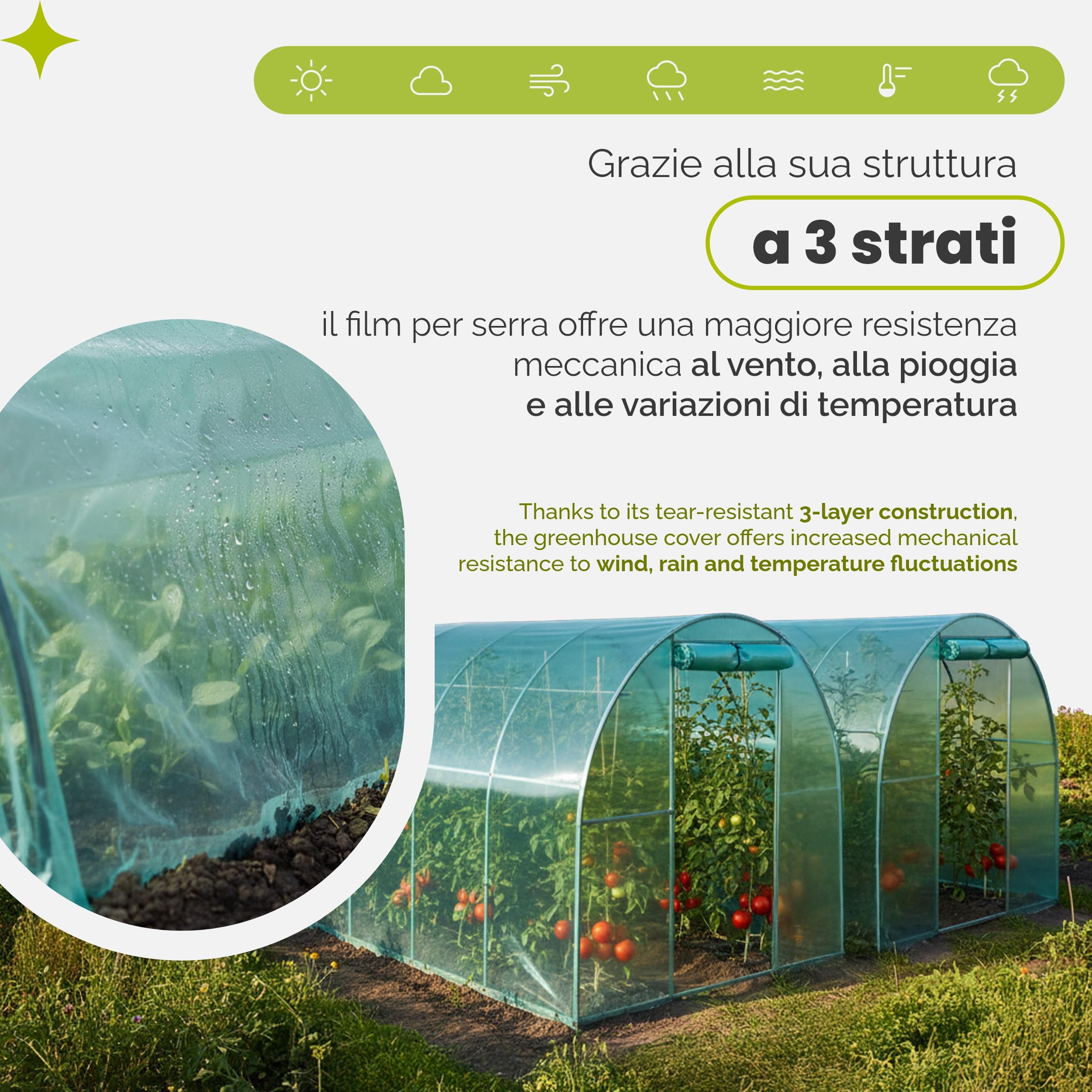 Garronda Telo Serra Trasparente Verde 6 x 12 m Pellicola in Plastica LDPE Stabilizzato UV Copertura Serra Resistente agli Strappi per Tunnel Giardino Orto Protezione Piante GD-0198