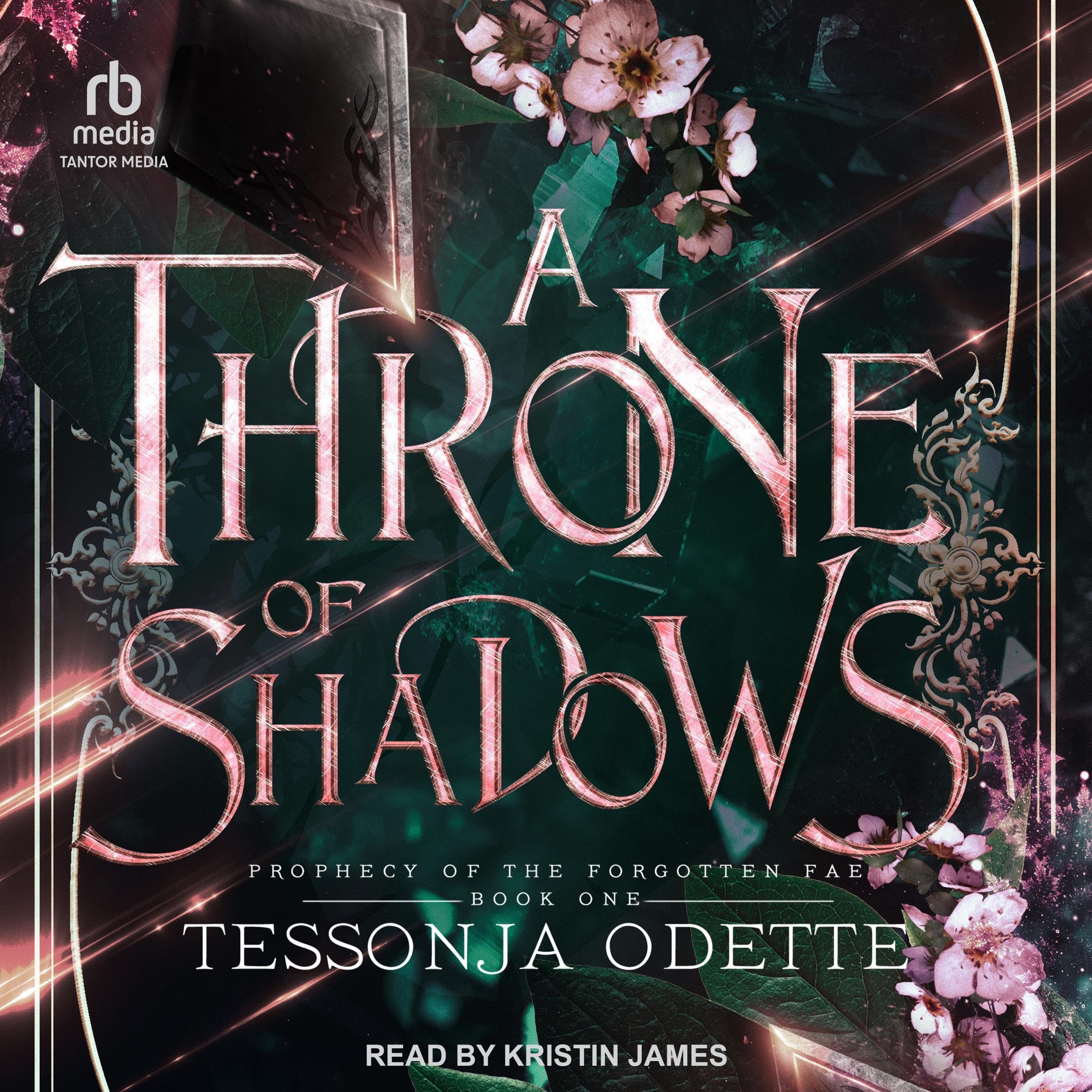 Cover art for A Throne of Shadows