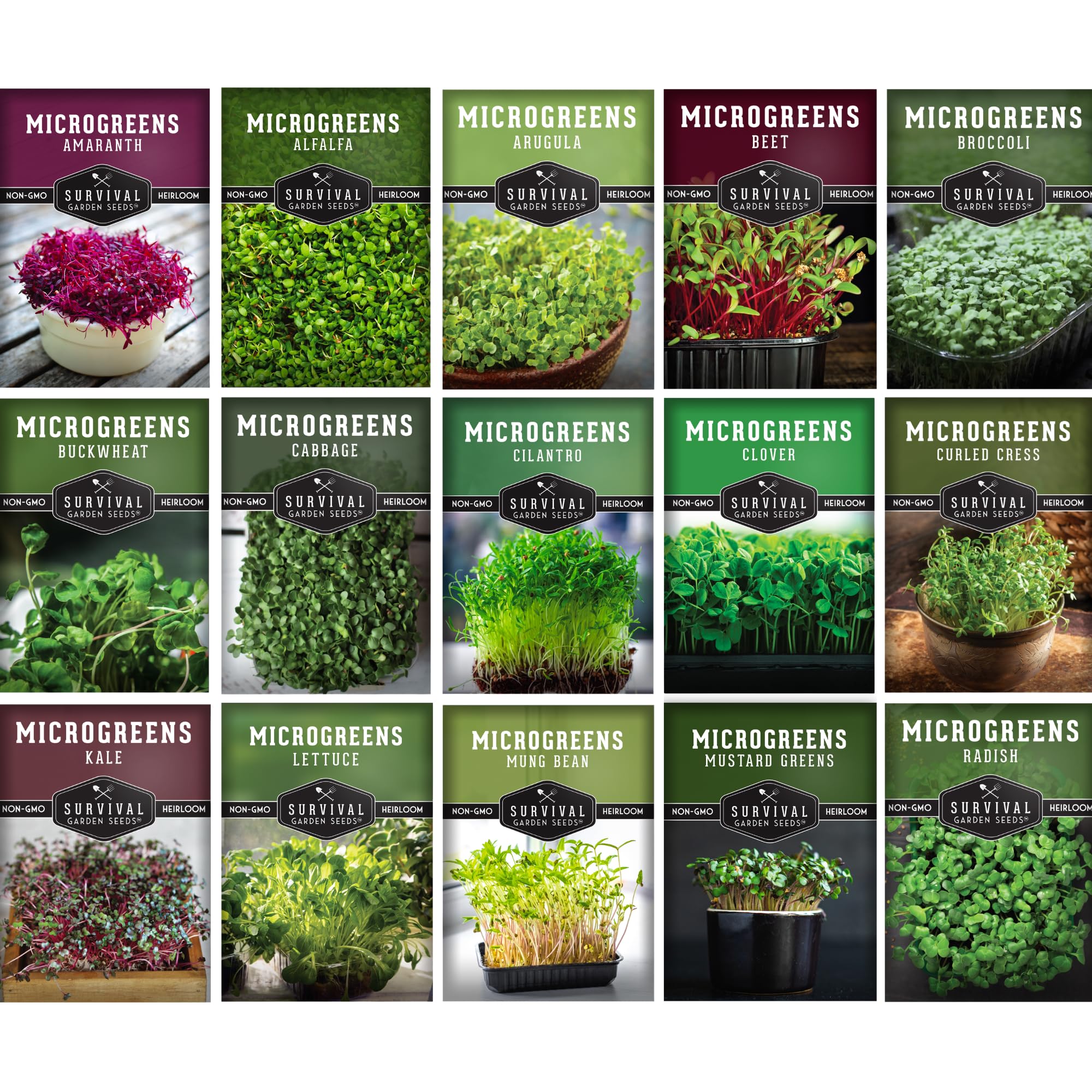 Survival Garden Seeds Microgreen Variety Pack