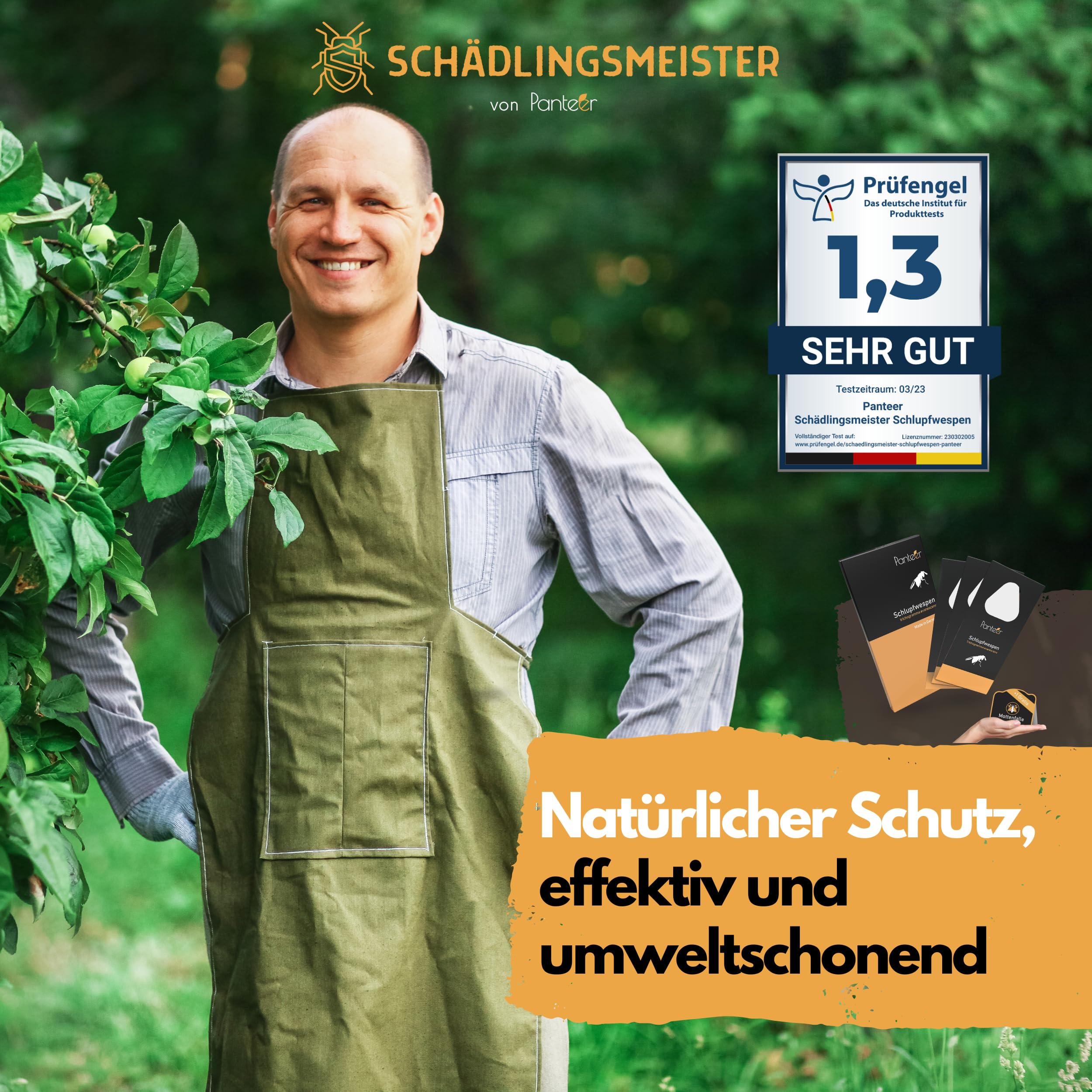 SCHÄDLINGSMEISTER Mehlmottenschlupfwespen gegen Mottenlarven - 30 Nützlinge - Motten bekämpfen - Schlupfwespen - Habrobracon hebetor - Made IN Germany (6 Einheiten)