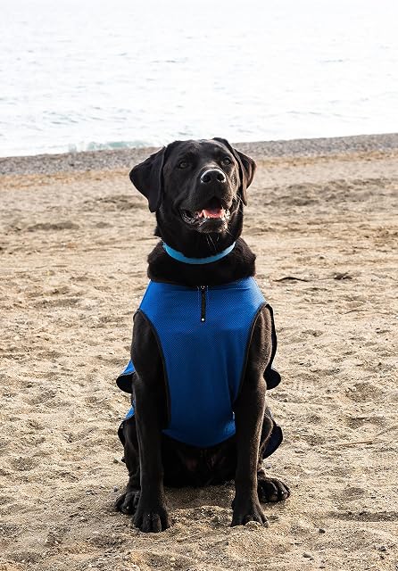Foto 6 de 6 de Chaleco Refrigerante para Perros - Chaqueta Ligera con Cremallera y Cierre Ajustable