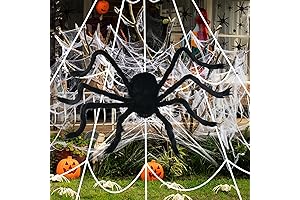 Giant Halloween Spider Web