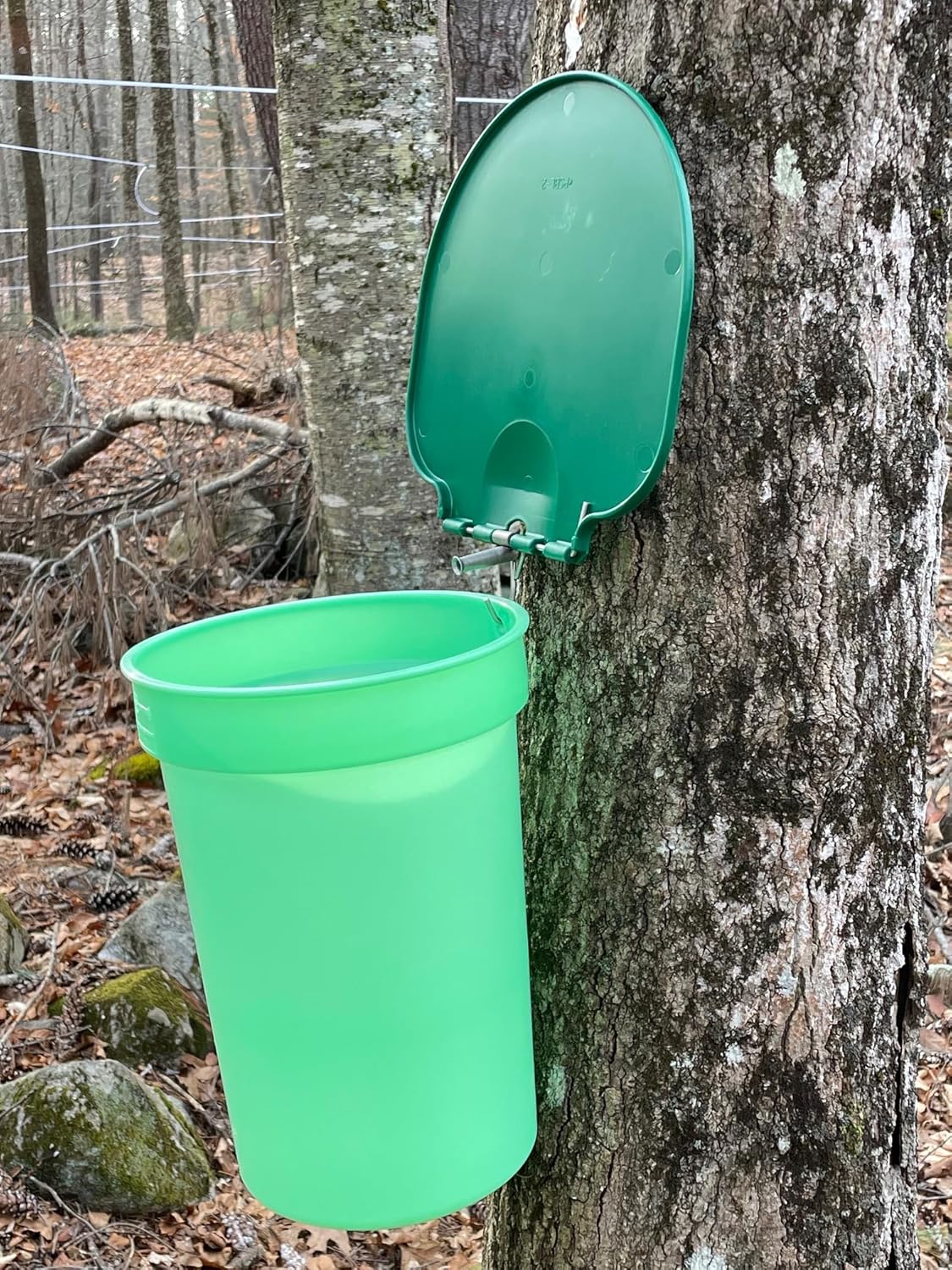 Premium Maple Syrup Kit - 3 Buckets w/Lids, 3 Stainless Taps, Tapping Bit, 2 Filters & Guide to Maple Sugaring