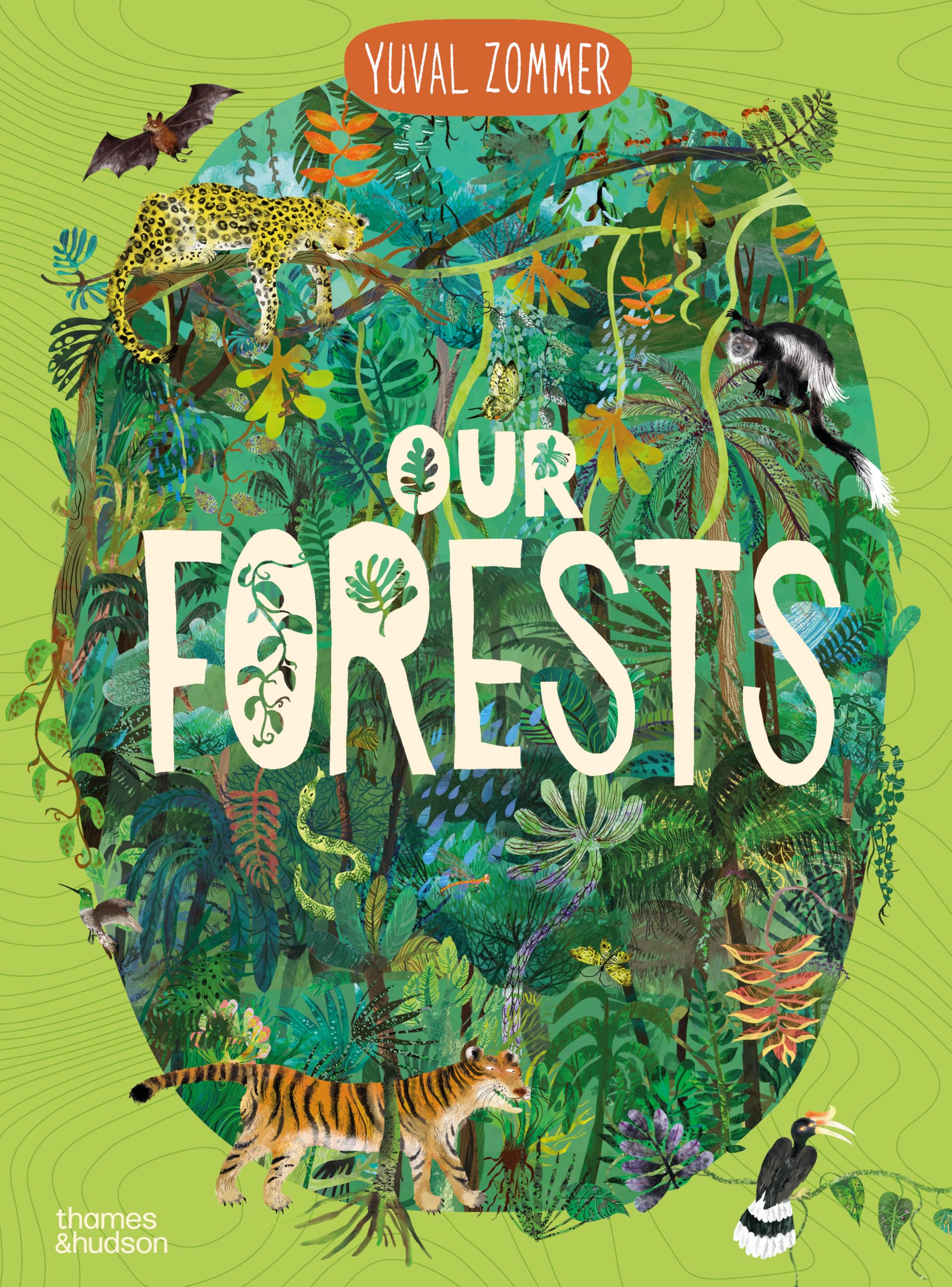 Our Forests (Our Wonders series)