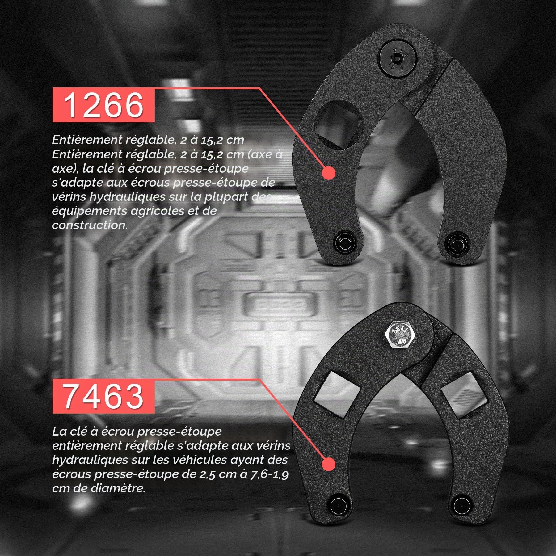 1266 & 7463 Lot de 2 clés à cliquet réglables pour cylindre hydraulique Grande et petite