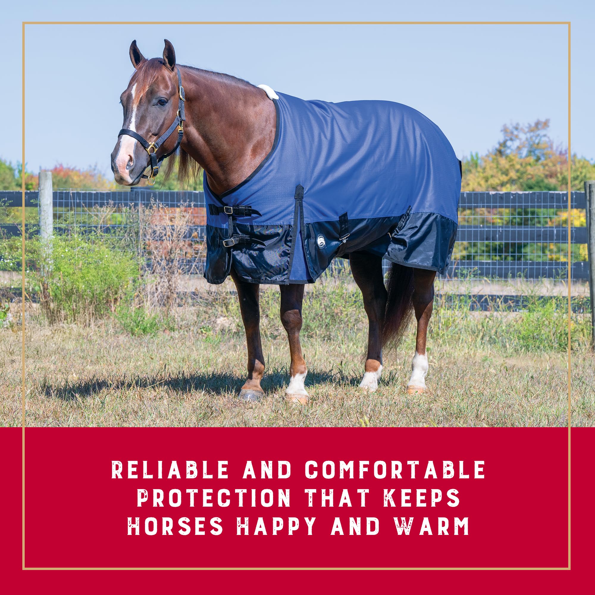 Weaver Leather Manta para Caballo Unisex para Adultos, Azul, 75 Pulgadas
