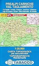 Download PREALPI CARNICHE/VAL TAGLIAMENTO 013 PDF