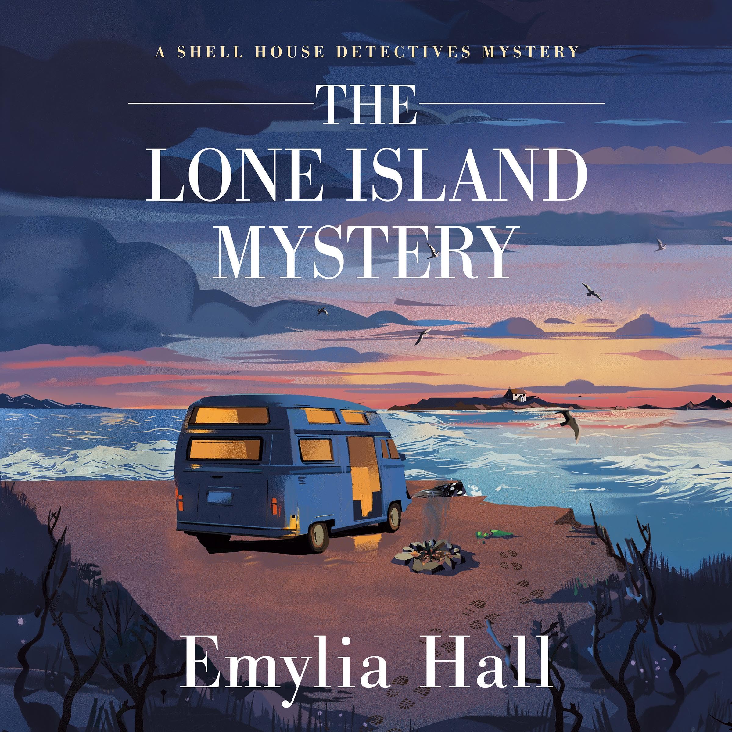 Cover art for The Lone Island Mystery