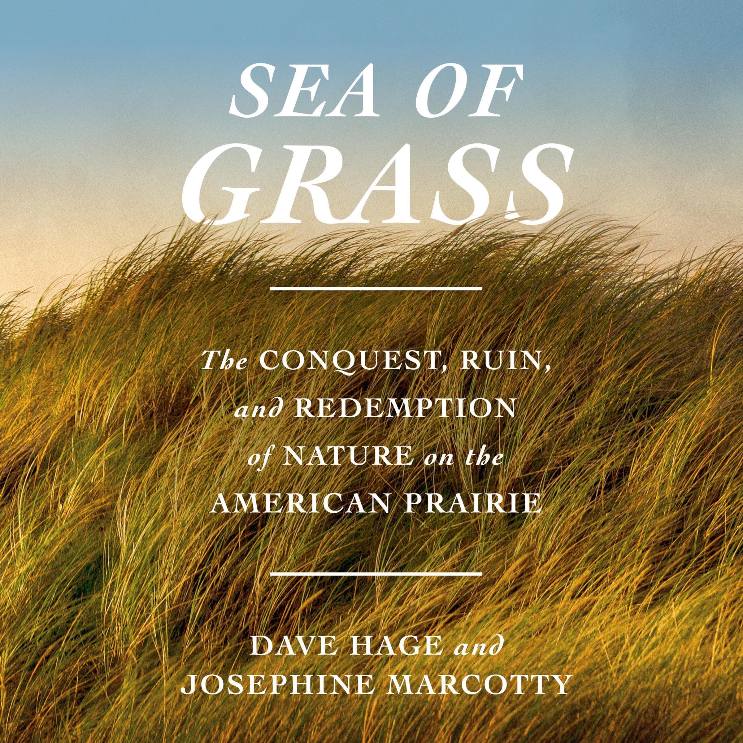 Cover art for Sea of Grass
