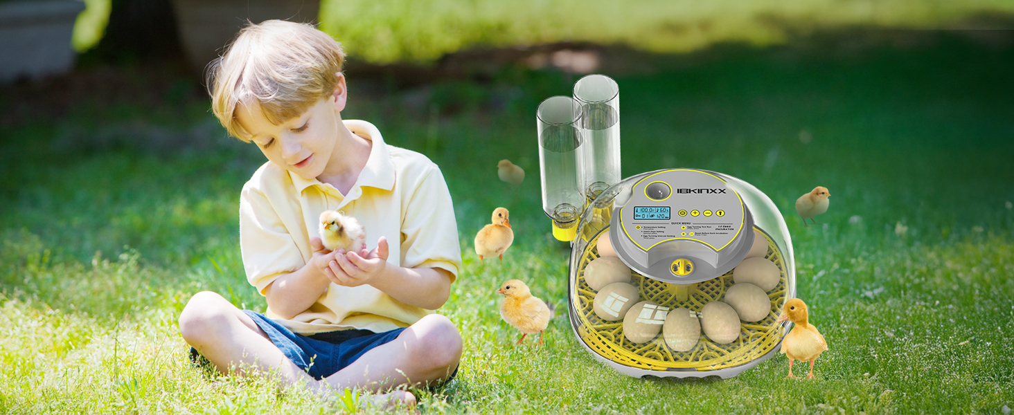 Amazon.com: Incubator for Hatching Eggs-12 Egg Capacity, 2026