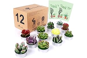 AIXIANG Cactus Succulent Candles Wedding Party Favors