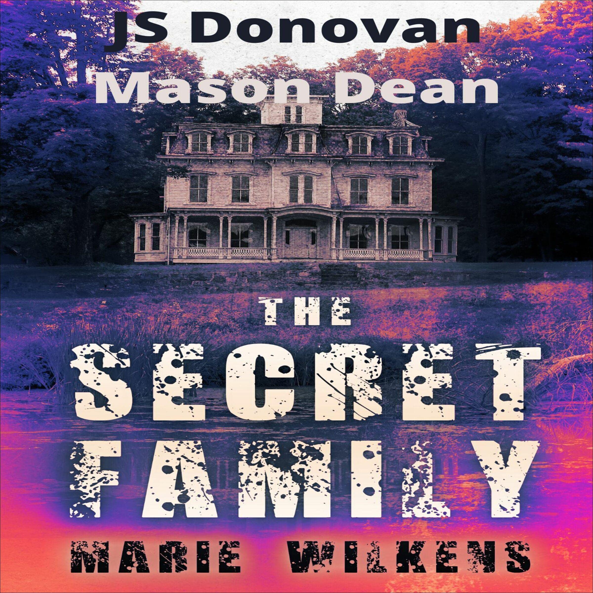 Cover art for The Secret Family