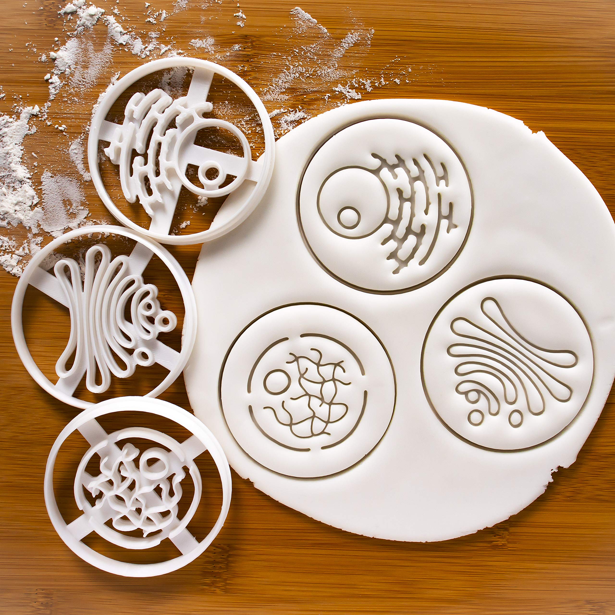 Bakerlogy 3-Piece Organ Cookie Cutter Set - Thyroid, Pituitary & Adrenal Glands - View #7