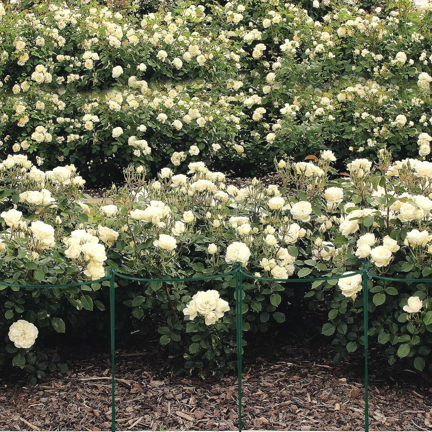 Tioncy 24 Pcs 24" H x 10" W Plant Support Stakes Cages for Garden, Metal Half Round Plants Tension Rods for Indoor Outdoor Large Tall Flower Vegetables Tomato Peony Rose Support