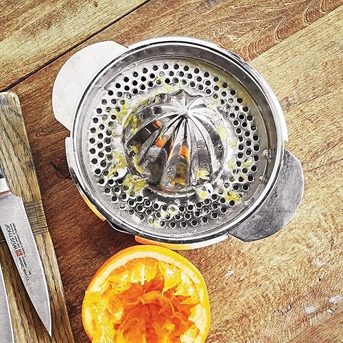 Sur La Table Exprimidor de cítricos de acero inoxidable, 13 oz, plateado
