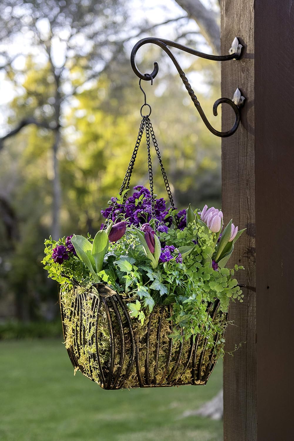 Black Hammer 80204 Leeds Square Metal Plant Hanger Basket with SuperMoss Liner