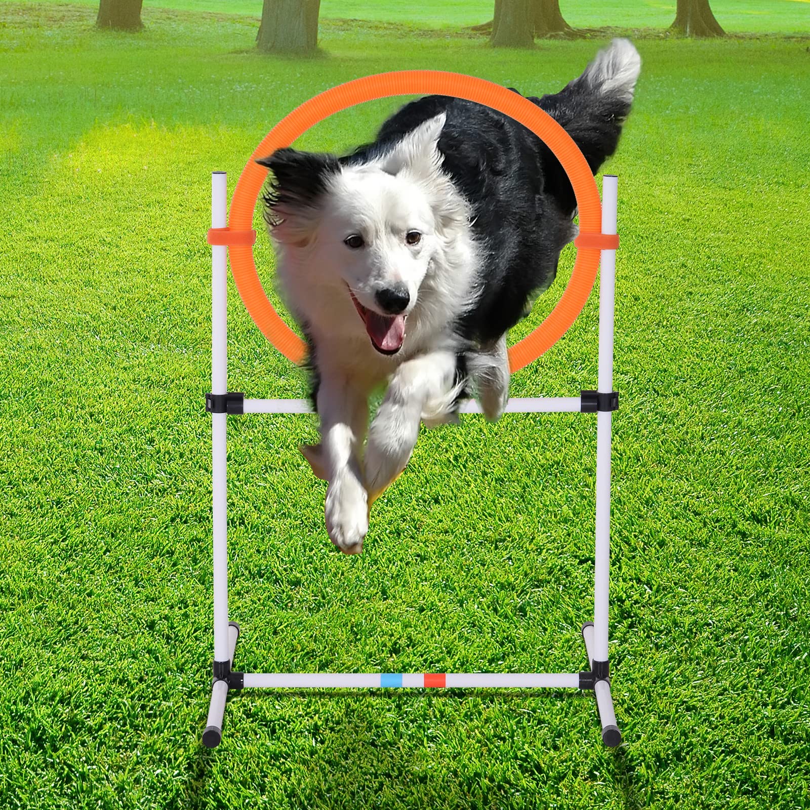PawHut Set Agility Dog Portatile con Anello e Sbarra, Multiuso e Salvaspazio, con Borsa da Trasporto Inclusa, 74.5x66x91cm, Bianco e Arancione
