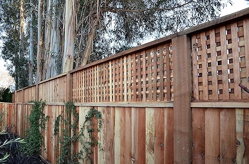 Miniatura 10 de Simpson Strong-Tie S10300WPB - Tornillo de acero inoxidable DWP para madera, 10 x 3 pulgadas, T-25, cabeza plana, tipo 305 (1750-cantidad)