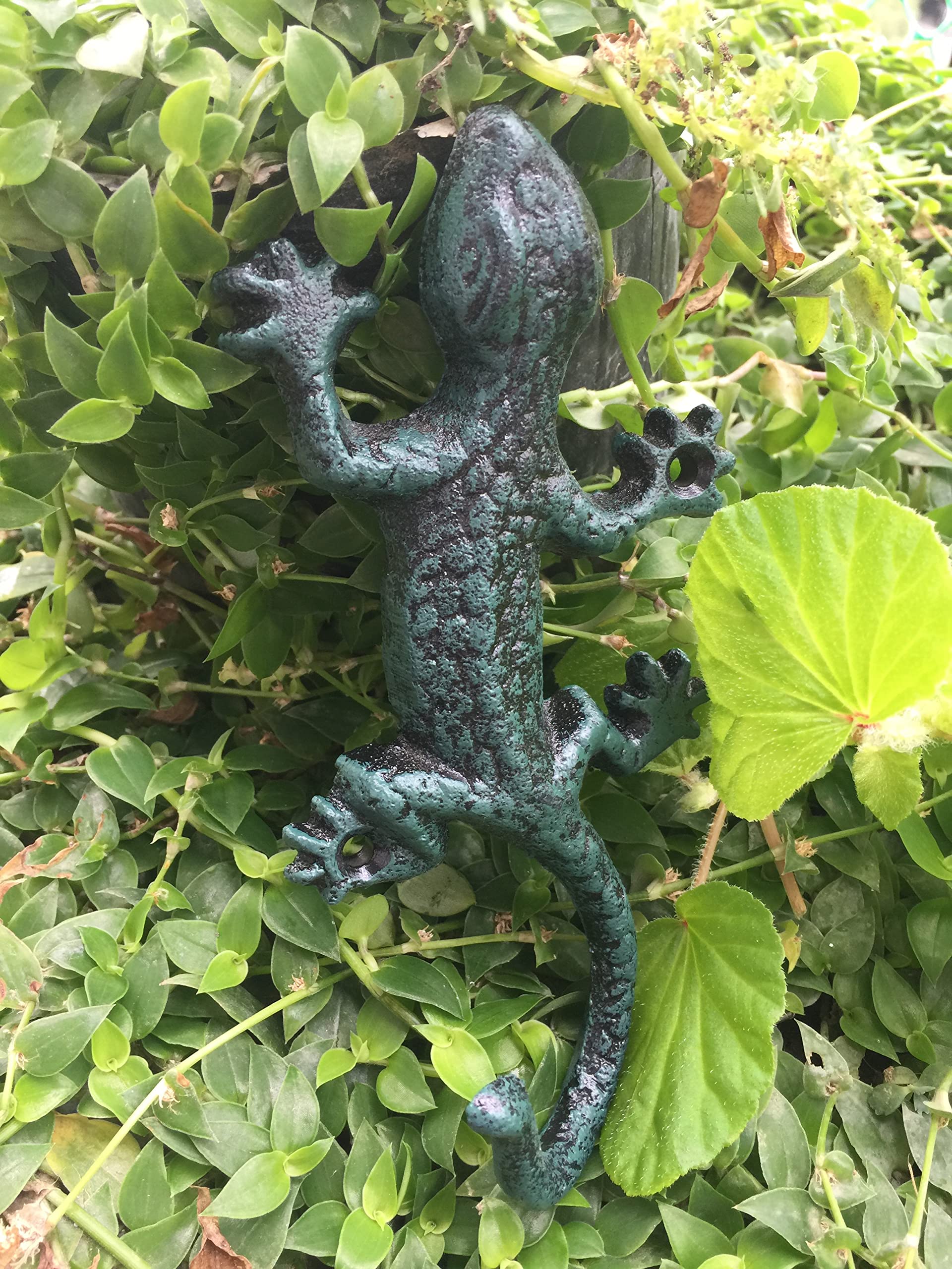 HWHP Zone - Gecko Wall Hooks Decorative Cast Iron Animal Gecko Shape Hooks Wall Mounted, Home Office Pool Garden Garage Indoor Outdoor Used, Hand Made, Gifts.