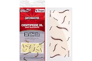 Catchmaster Centipede XL Giant Glue Boards: Your Ultimate Home Defense Against Crawling Pests