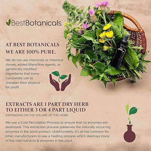 Miniatura 4 de Best Botanicals Polvo de raíz de diente de león  Suplemento antioxidante de limpieza del hígado  Bebida de desintoxicación de té de hierbas  16 oz