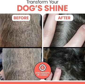 Alaskan Salmon Oil for Dogs and Cats 8oz - Fish Oil Omega 3 EPA & DHA for Skin and Coat, Shedding, Itchy Skin and Allergies, Joint Support - Liquid with Pump, MSC Certified, Made in USA - Chew + Heal