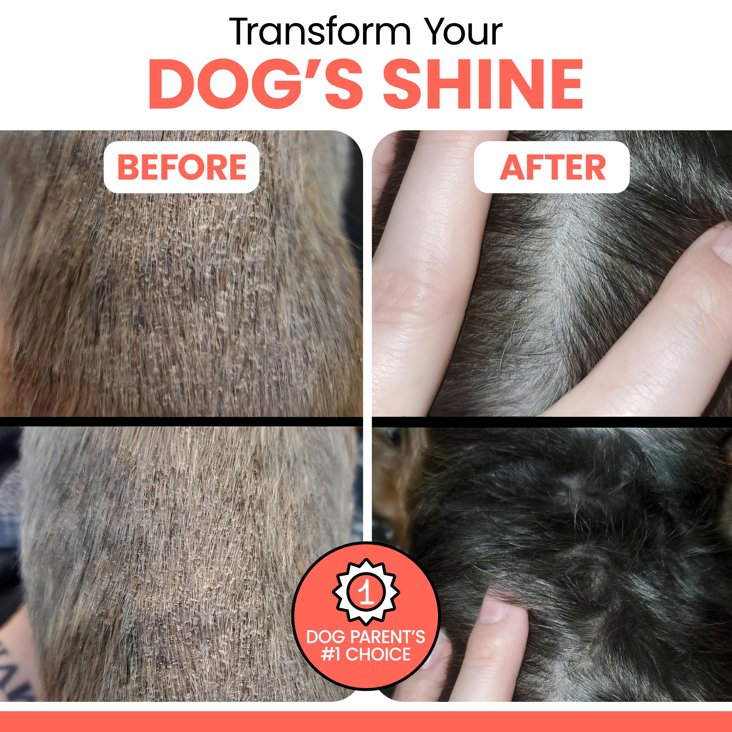 Alaskan Salmon Oil for Dogs and Cats 8oz - Fish Oil Omega 3 EPA & DHA for Skin and Coat, Shedding, Itchy Skin and Allergies, Joint Support - Liquid with Pump, MSC Certified, Made in USA - Chew + Heal — Amazon image 5