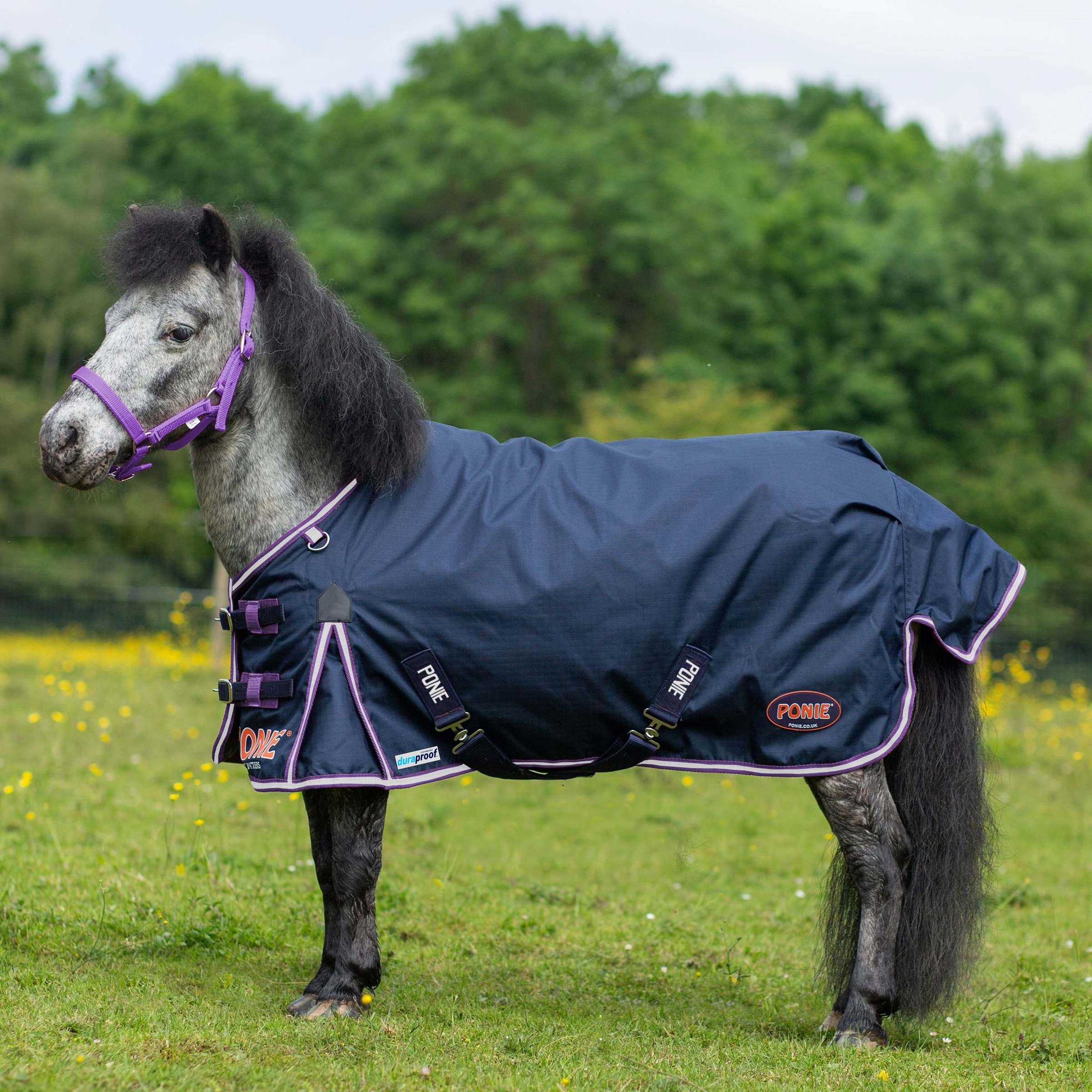Gallop Ponie Duraproof Lightweight Turnout, 5ft0