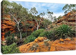 Australia Canvas Wall Art. Kings Canyon Nature Print. Scenic Colourful Photography Print. Available In Various Sizes. (24x40x1.5)