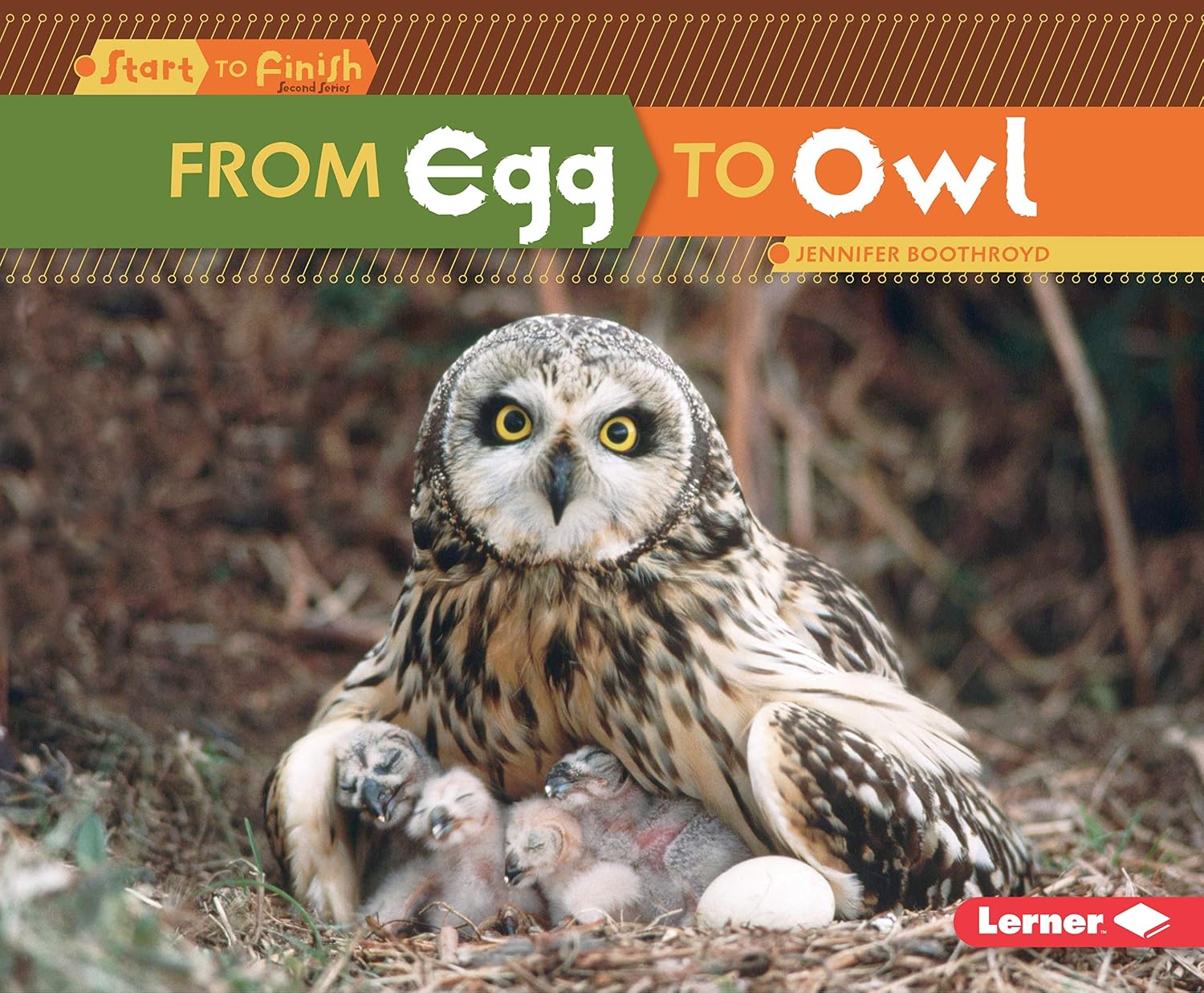 From Egg to Owl (Start to Finish, Second)