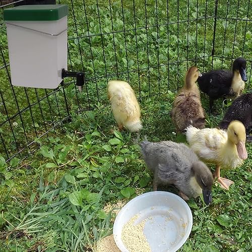 Miniatura 3 de Botella de agua de conejo sin goteo para jaula, paquete de 2 botellas de agua dispensadoras de agua para animales pequeños de 16 onzas para mascotas