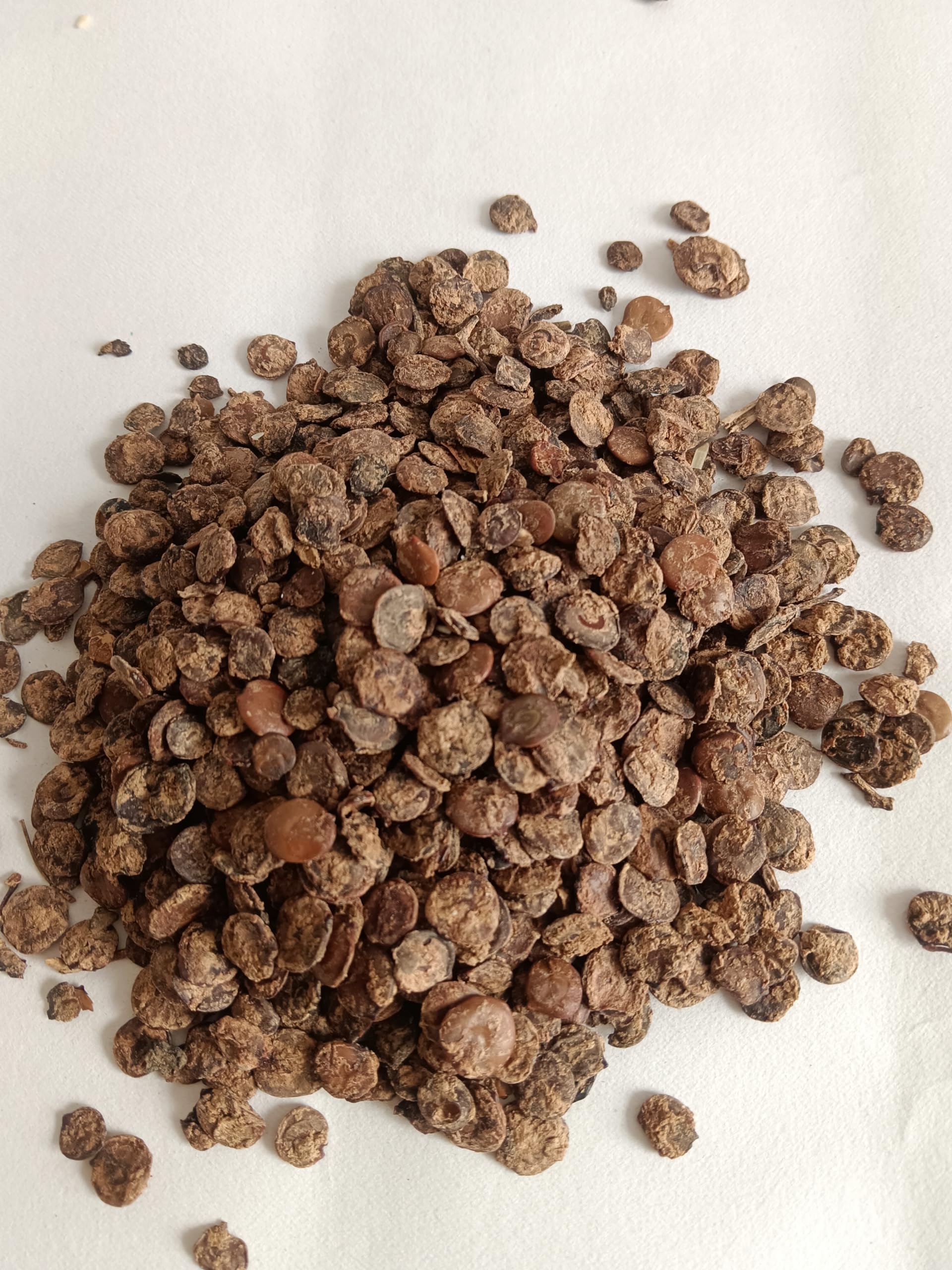 BR CART Natural Rajasthani Dry Kumtiya/Rajasthani Homemade Sukha Sabji Premium And Organic Kumtiya In Black Color Pack Of 1. (500 Gm) 4