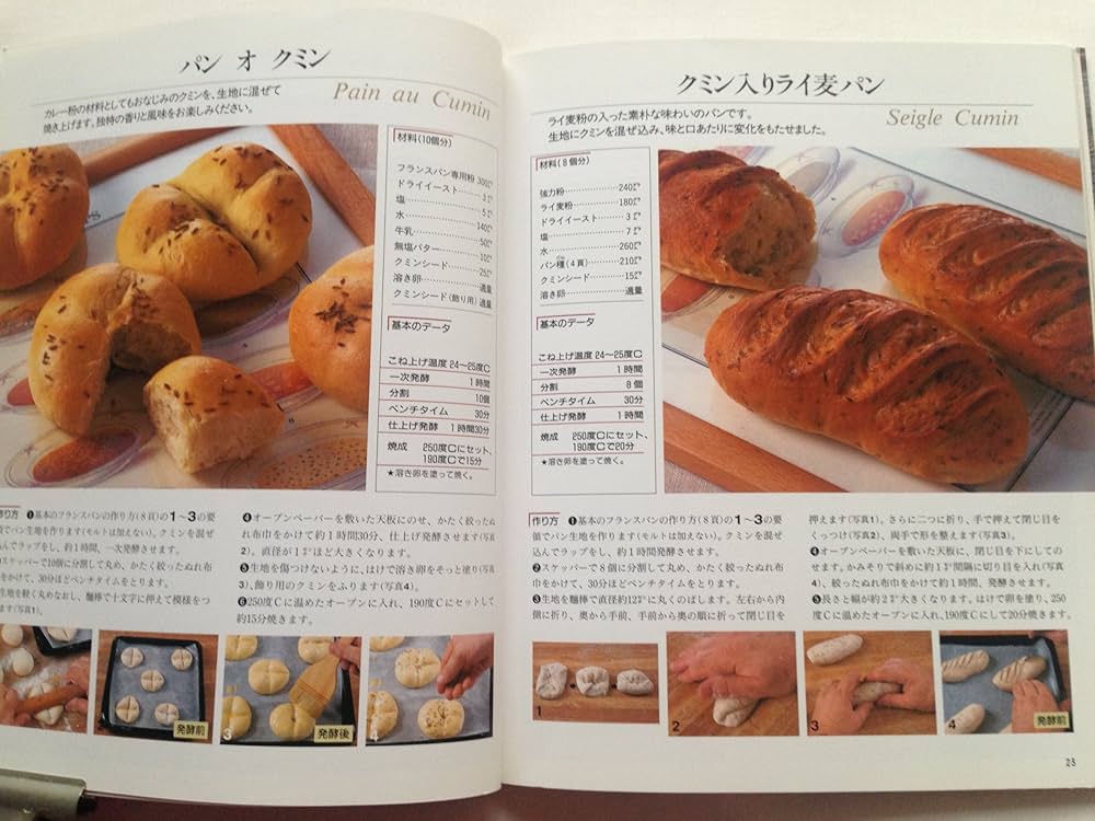 フランス職人に習う本格パン作り (マイライフシリーズ 490 特集版 フランス職人に習う本格パン作り (マイライフシリーズ 490 特集版