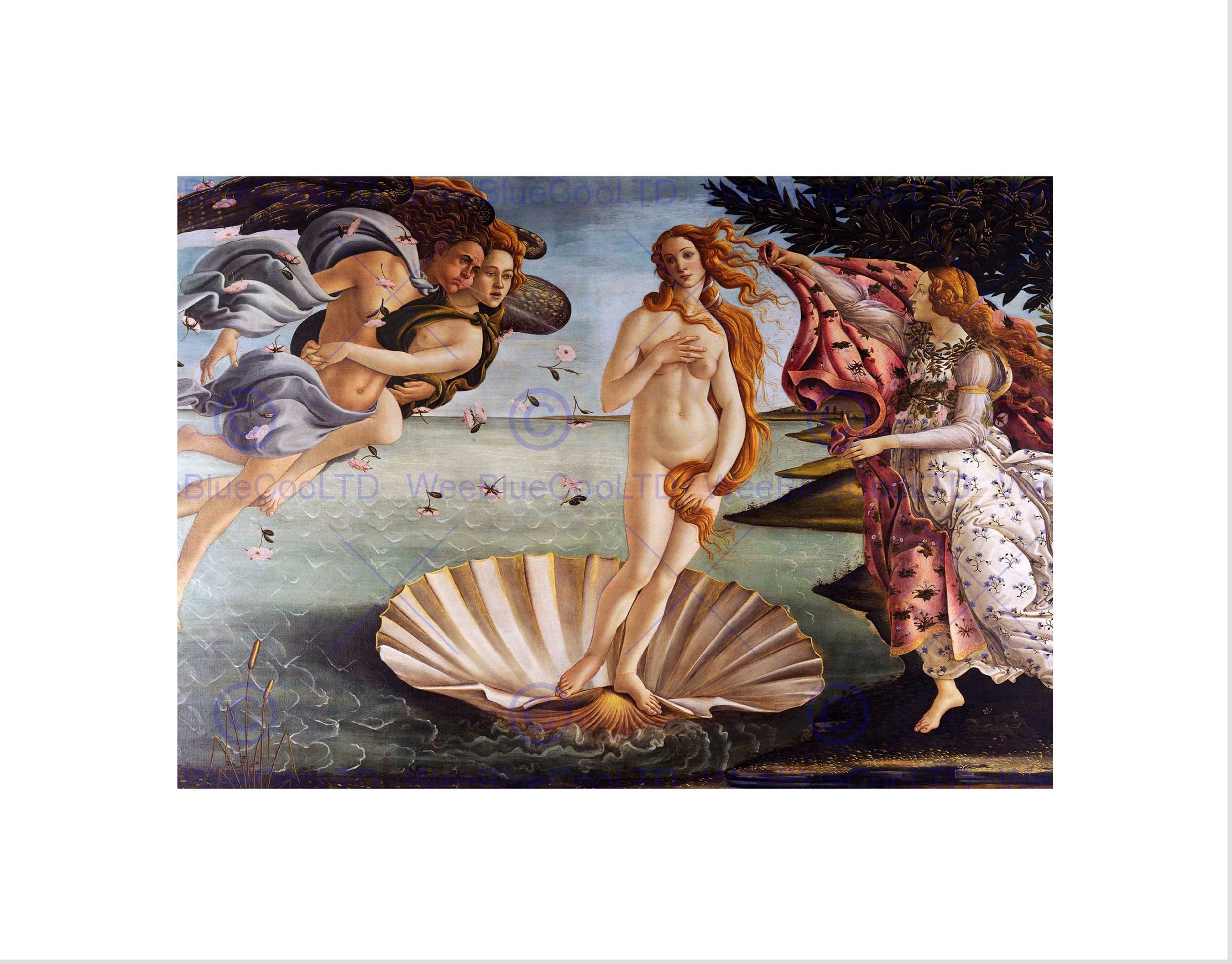Wee Blue Coo Painting Portrait Mythology Roman Botticelli Birth Venus Wall Art Print