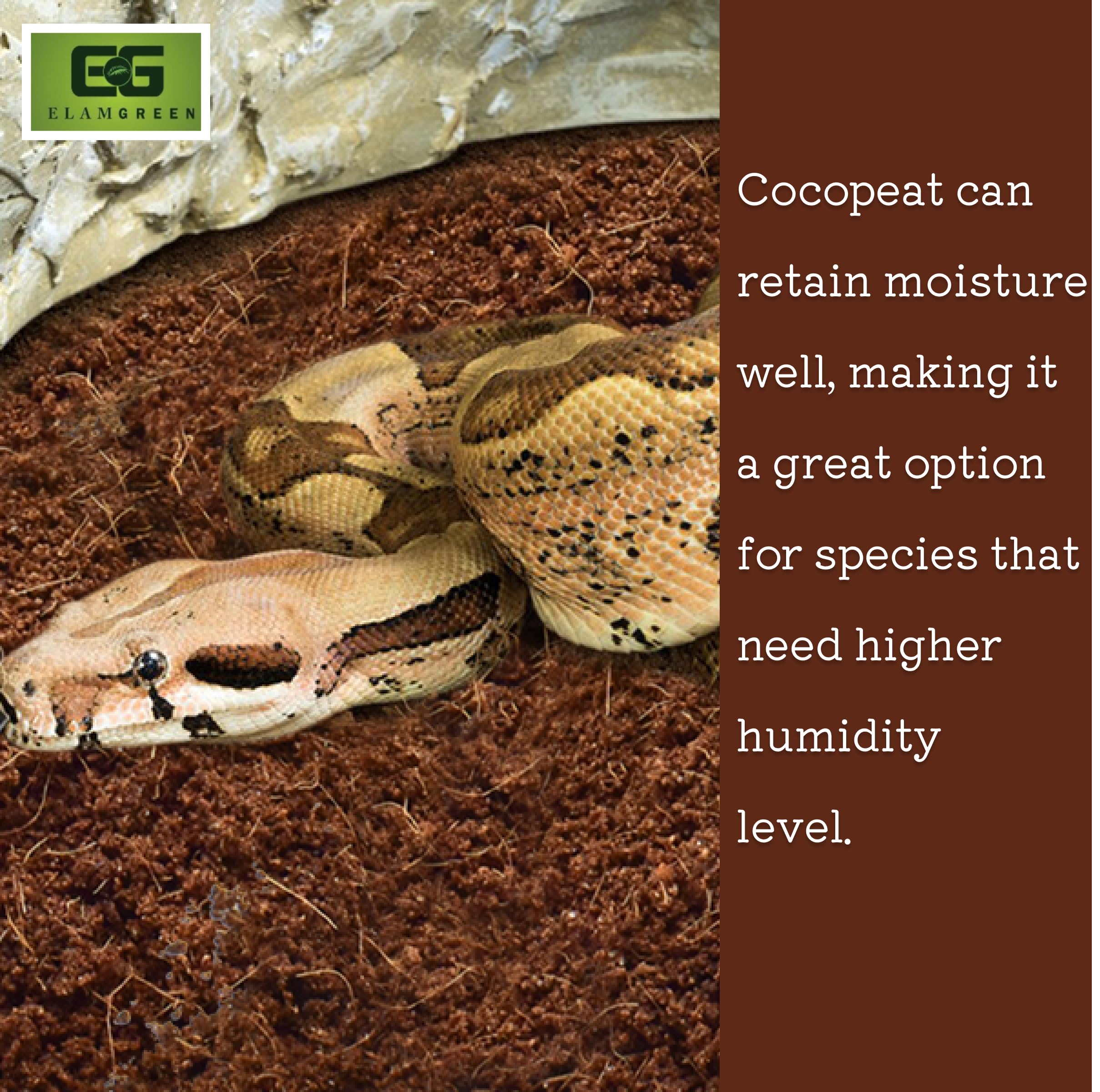 Elamgreen Coco peat Block for Animal Bedding pet Products | Dogs, Cats Reptiles Snakes Chicken Birds (650 gram)
