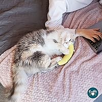 Vista 2 de OurPets Juguete para Gatos 100% Relleno de Cosmic Catnip