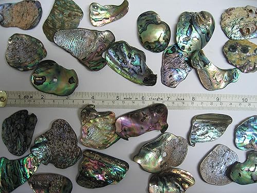 Miniatura 3 de Piezas de concha de abulón (Pua), paquete de 7.05 onzas, para manualidades, fabricación de joyas, arte de resina, incrustaciones, decoraciones para