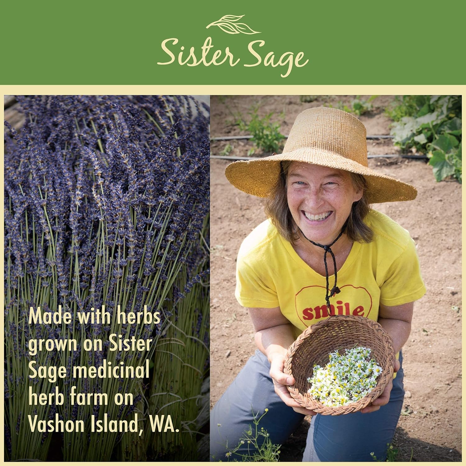 Dream On 100% All Natural Valerian Root Tincture (1 Ounce)