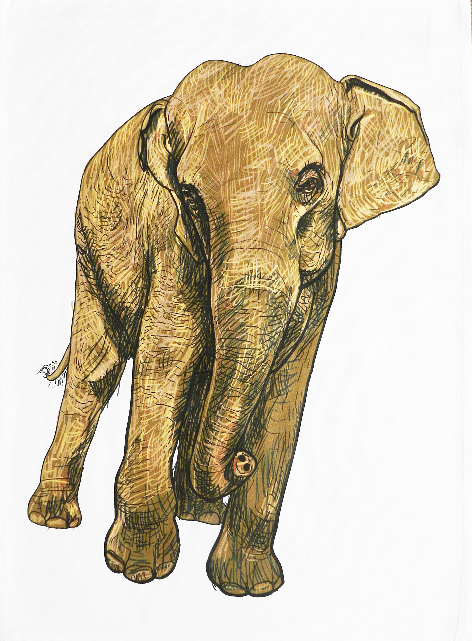 Half A Donkey Yellow/White The Handdrawn Elephant - Large Cotton Tea Towel