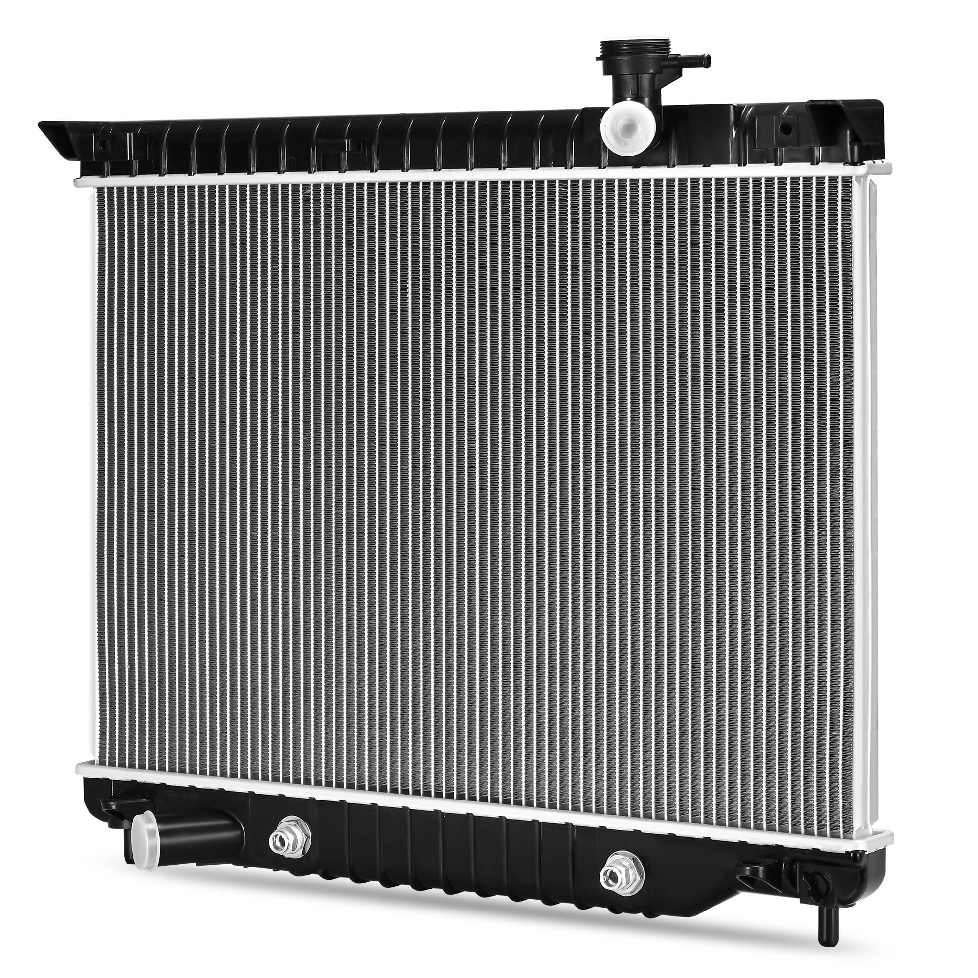 DWVO Complete Radiator Compatible with 02-09 Chevy Trailblazer 4.2L L6，2458