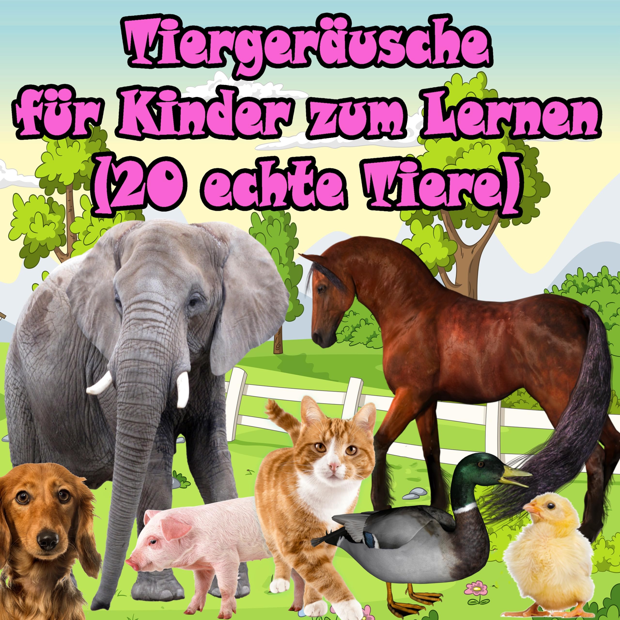 Vorschule Kindermusik